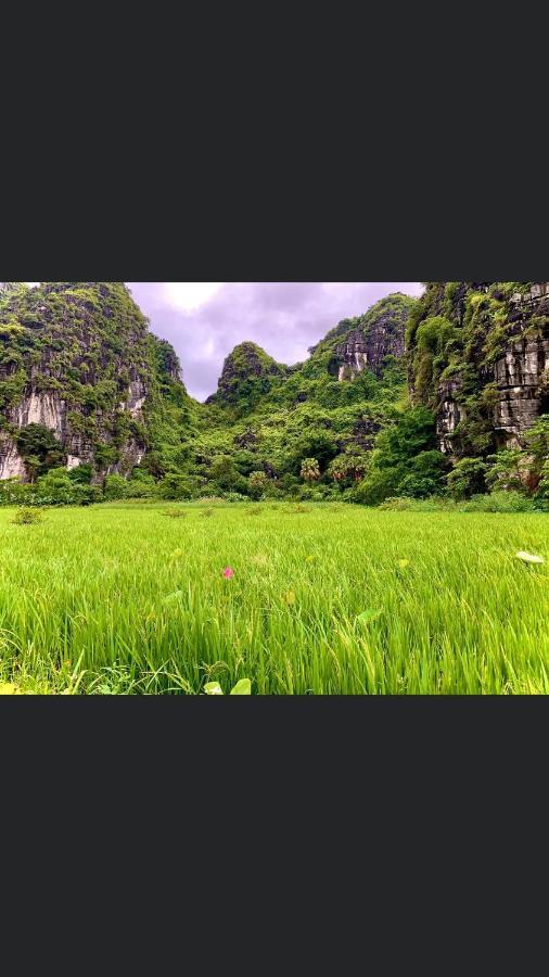 Tam Coc Scenery Homestay Van Lam Exteriér fotografie